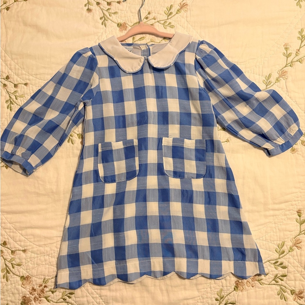 NWOT Blue and White Gingham Peter Pan Collar Dress